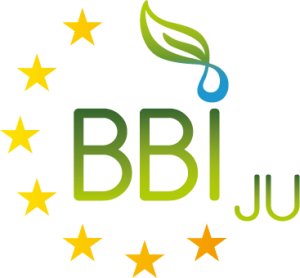 Logo BBI JU.png