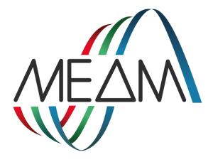 MEAMlogo.png