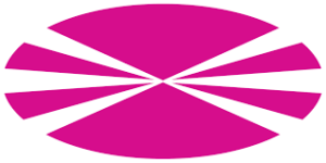 Logo Universidade de Coruna.png