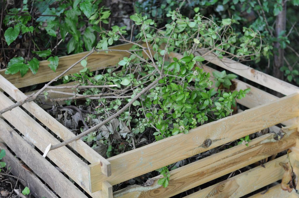 Garden waste in a wooden composter